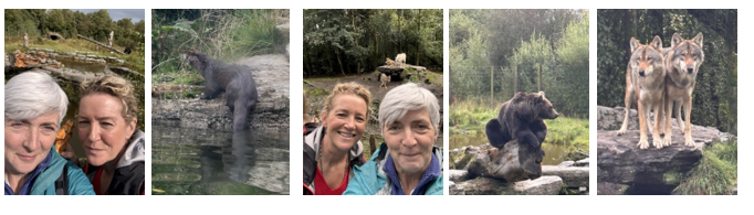 Wild Ireland day out